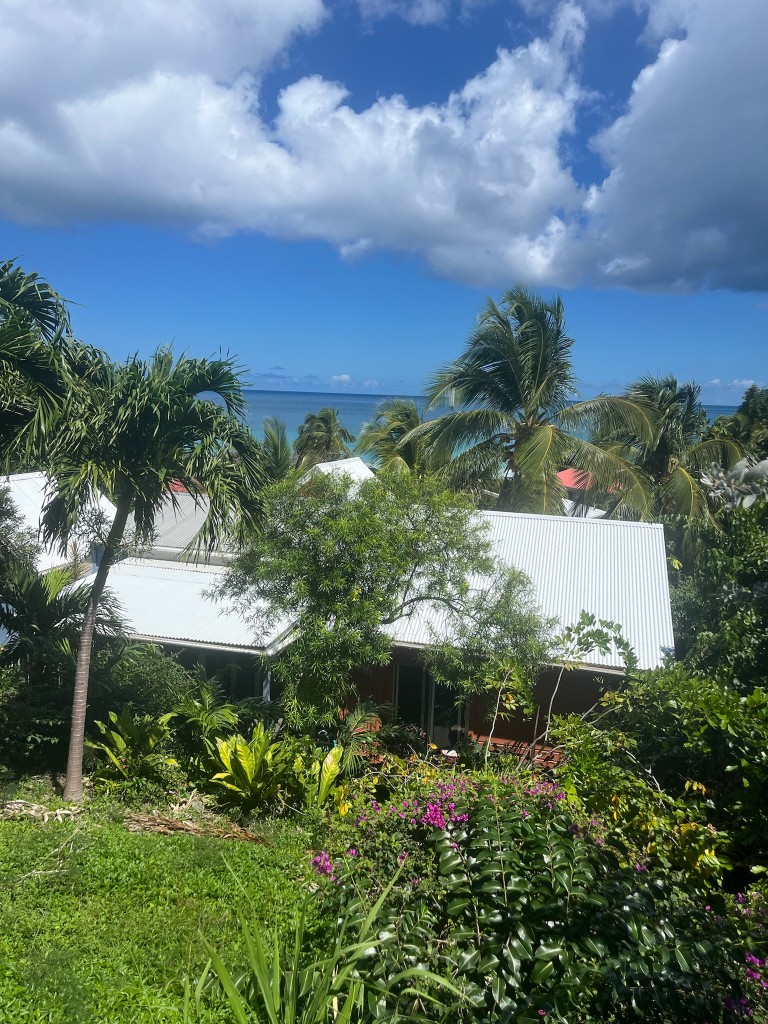 IMG 2350 (1)